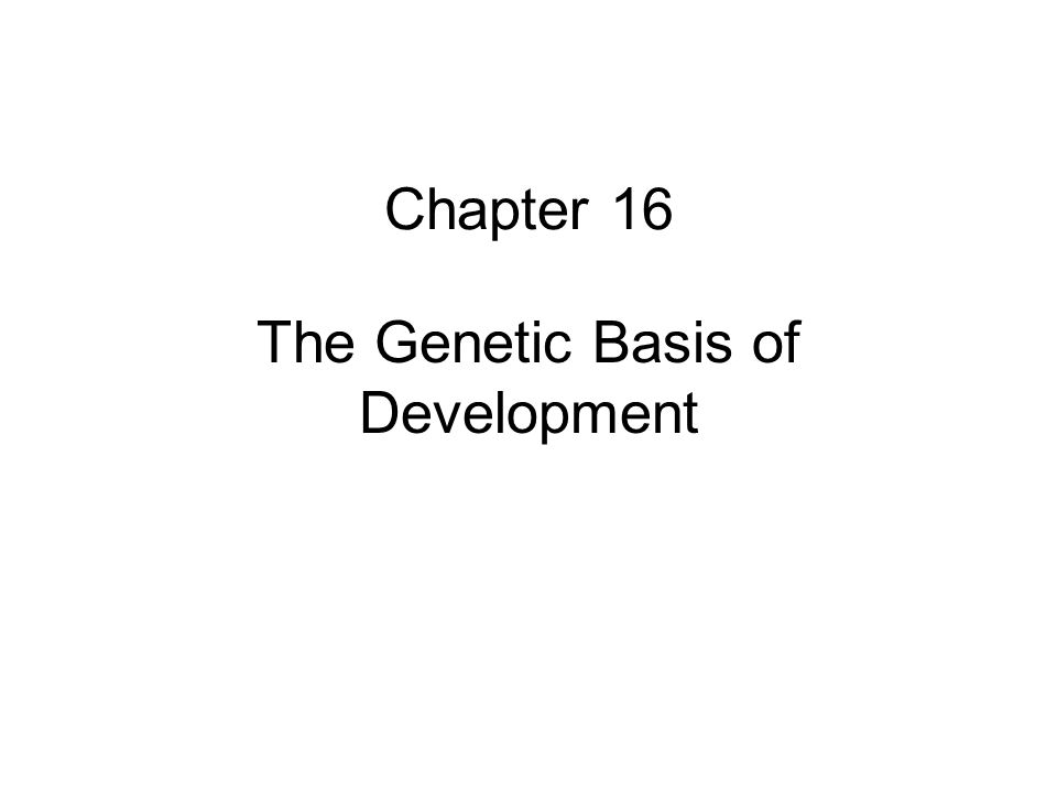 Chapter 16 The Genetic Basis of Development