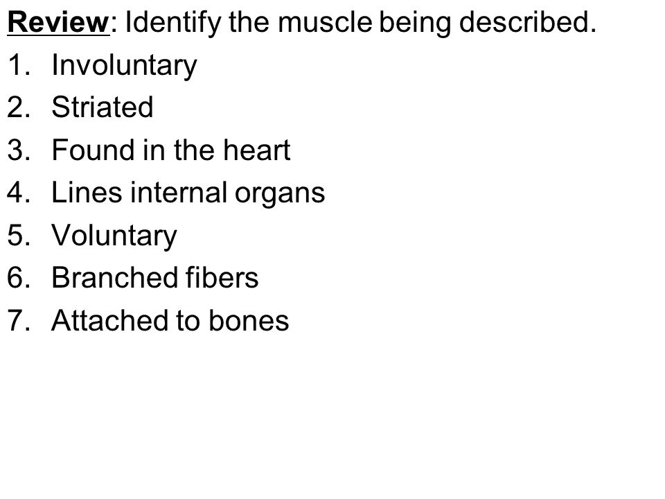 Review: Identify the muscle being described.