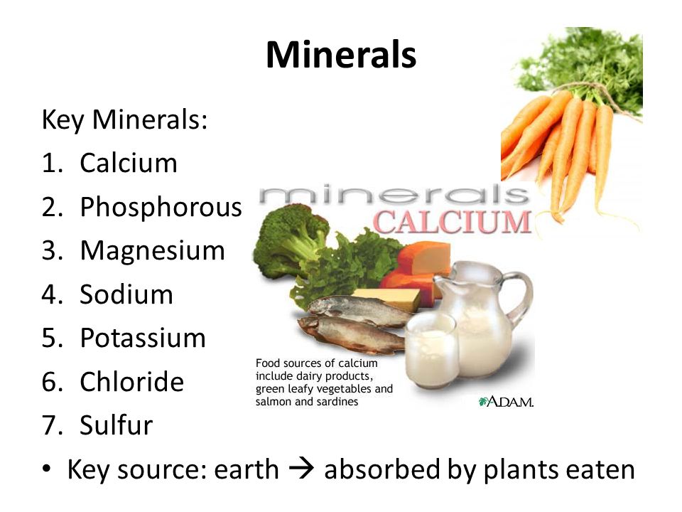 Minerals Key Minerals: 1.Calcium 2.Phosphorous 3.Magnesium 4.Sodium 5.Potassium 6.Chloride 7.Sulfur Key source: earth  absorbed by plants eaten