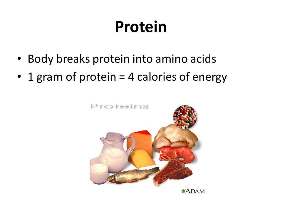Protein Body breaks protein into amino acids 1 gram of protein = 4 calories of energy