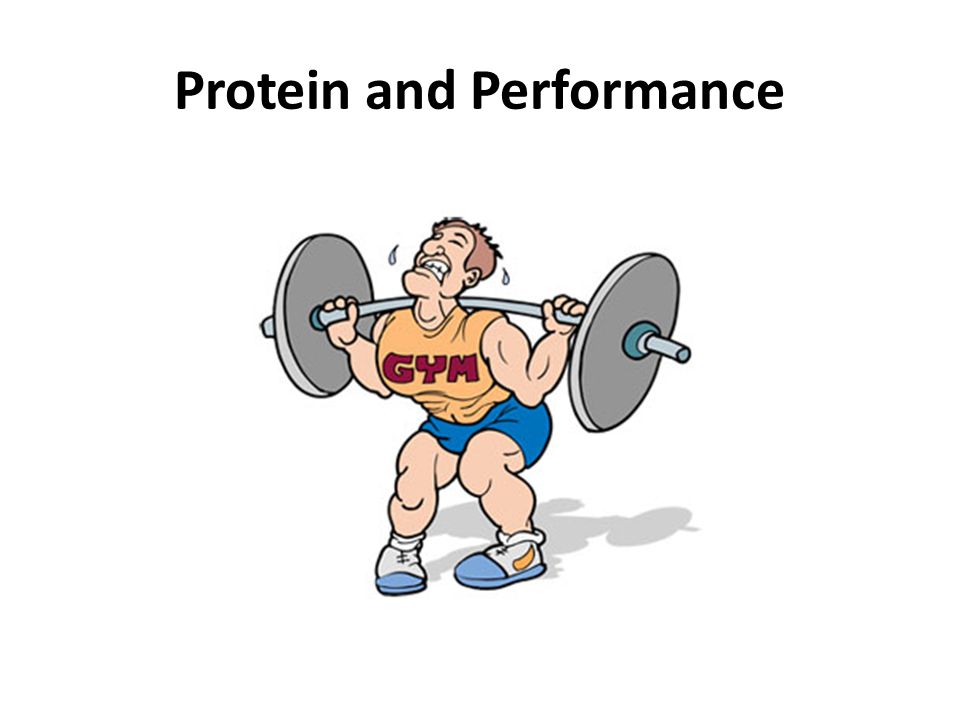 Protein and Performance