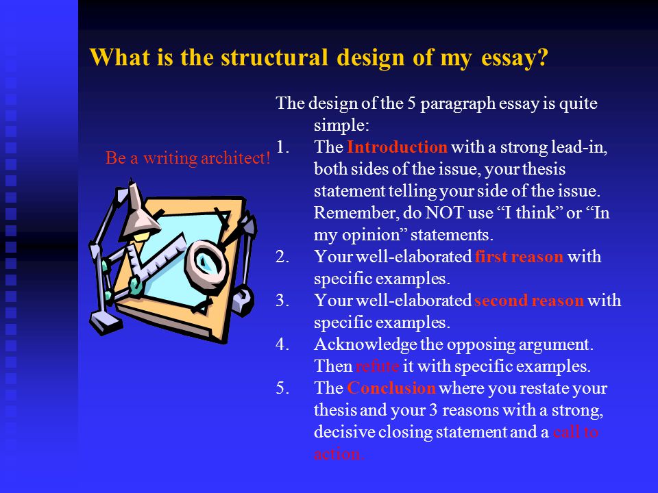What is the structural design of my essay.