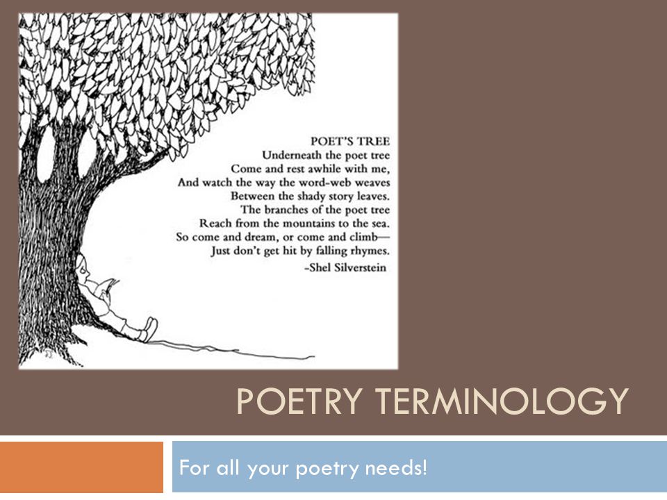 POETRY TERMINOLOGY For all your poetry needs!