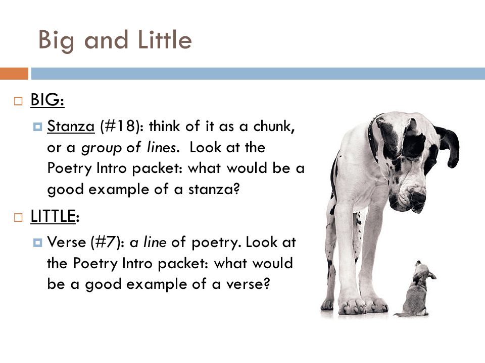 Big and Little  BIG:  Stanza (#18): think of it as a chunk, or a group of lines.