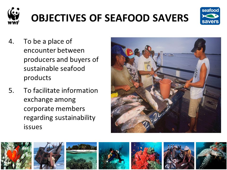 SEAFOOD SAVERS By Margareth Meutia WWF-Indonesia Marine Communications. -  ppt download