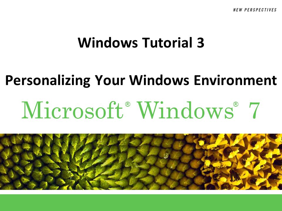 ®® Microsoft Windows 7 Windows Tutorial 3 Personalizing Your Windows Environment