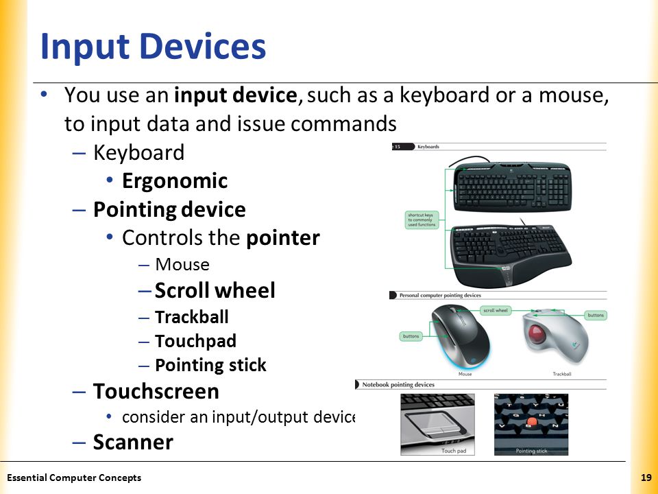 XP Input Devices You use an input device, such as a keyboard or a mouse, to input data and issue commands – Keyboard Ergonomic – Pointing device Controls the pointer – Mouse – Scroll wheel – Trackball – Touchpad – Pointing stick – Touchscreen consider an input/output device – Scanner 19Essential Computer Concepts