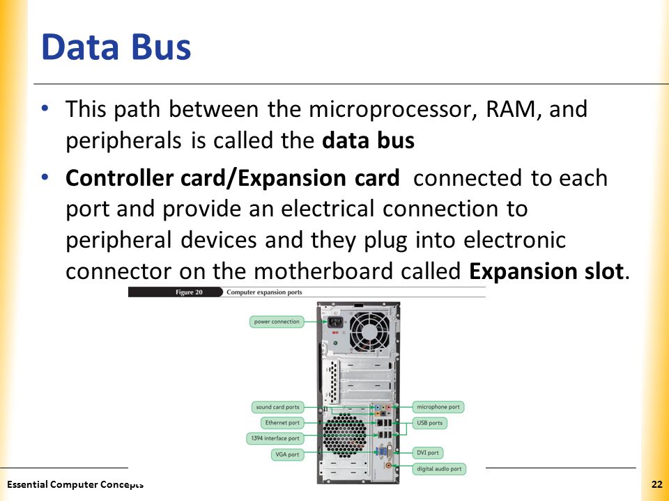 XP Data Bus This path between the microprocessor, RAM, and peripherals is called the data bus Controller card/Expansion card connected to each port and provide an electrical connection to peripheral devices and they plug into electronic connector on the motherboard called Expansion slot.