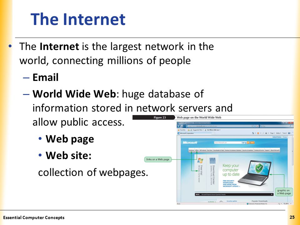XP The Internet The Internet is the largest network in the world, connecting millions of people –  – World Wide Web: huge database of information stored in network servers and allow public access.