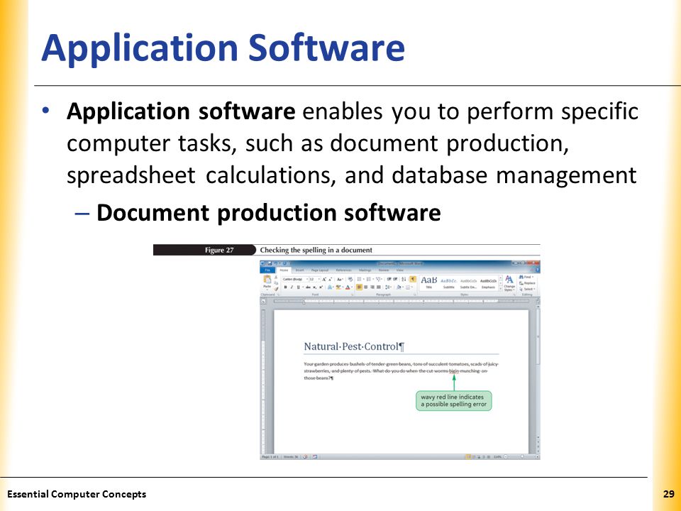 XP Application Software Application software enables you to perform specific computer tasks, such as document production, spreadsheet calculations, and database management – Document production software 29Essential Computer Concepts