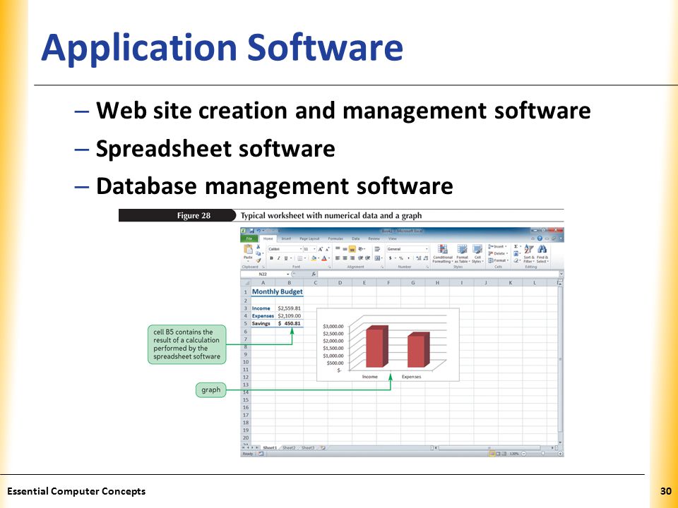 XP Application Software – Web site creation and management software – Spreadsheet software – Database management software 30Essential Computer Concepts