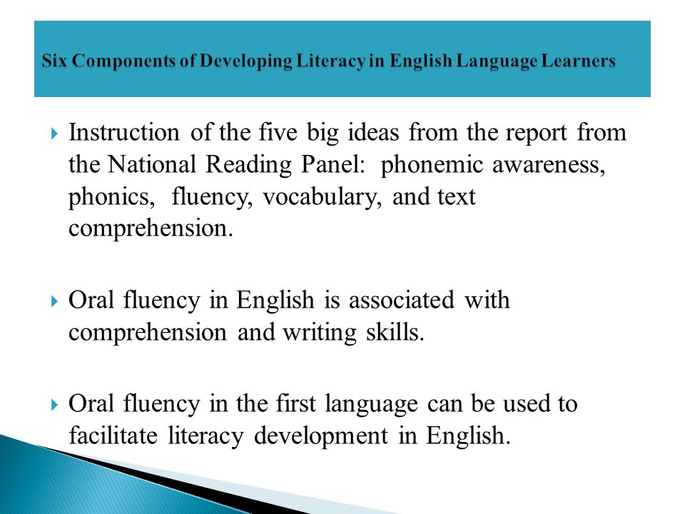  Instruction of the five big ideas from the report from the National Reading Panel: phonemic awareness, phonics, fluency, vocabulary, and text comprehension.
