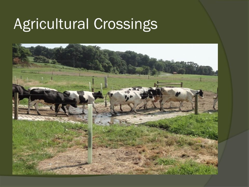 Agricultural Crossings