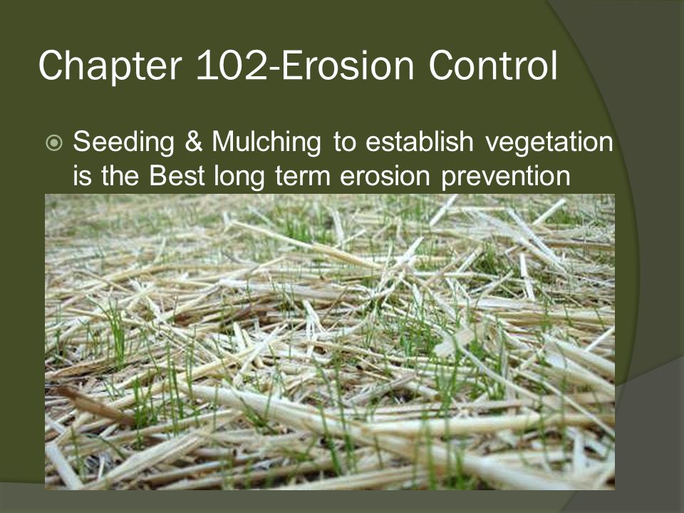 Chapter 102-Erosion Control  Seeding & Mulching to establish vegetation is the Best long term erosion prevention