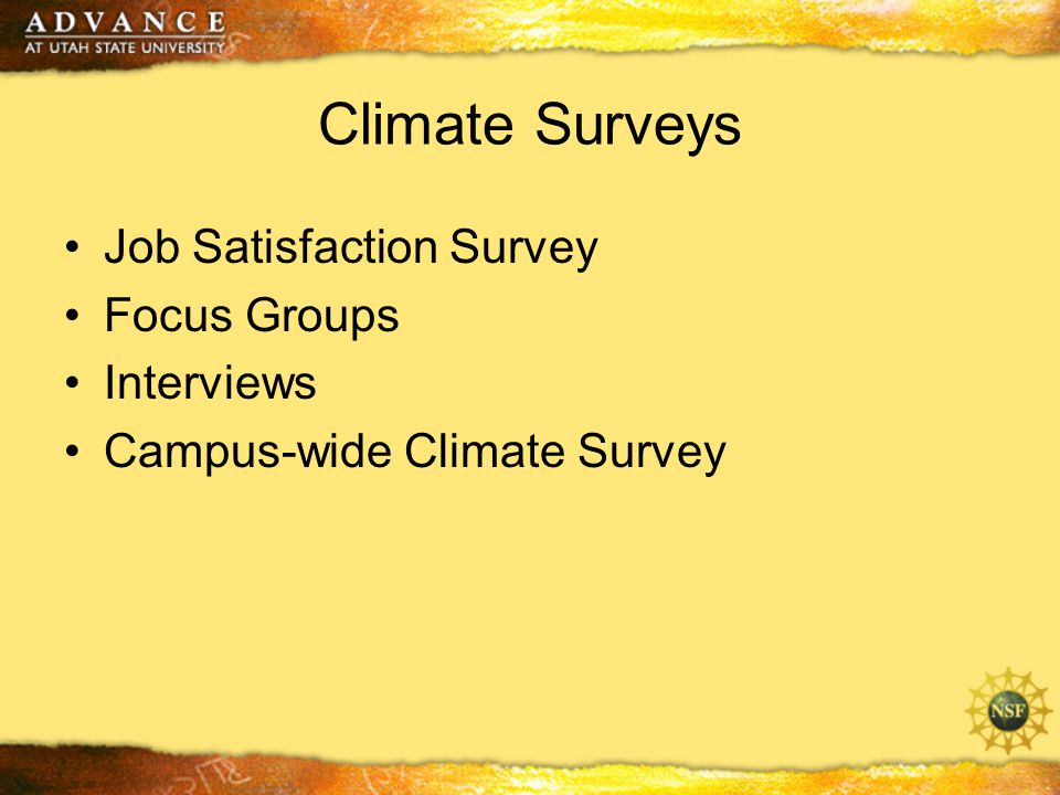 Climate Surveys Job Satisfaction Survey Focus Groups Interviews Campus-wide Climate Survey