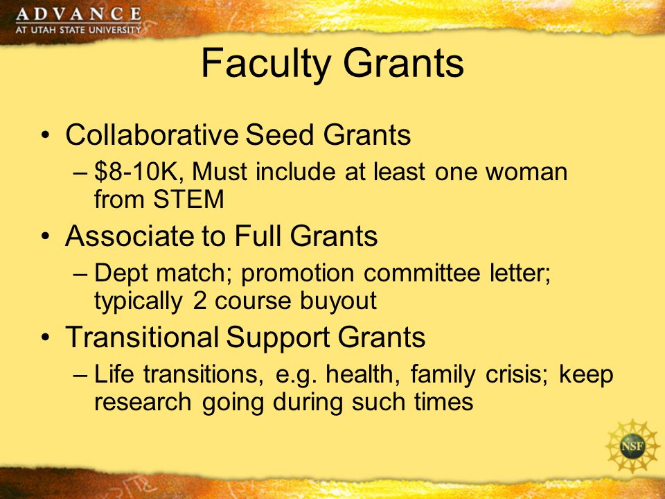 Faculty Grants Collaborative Seed Grants –$8-10K, Must include at least one woman from STEM Associate to Full Grants –Dept match; promotion committee letter; typically 2 course buyout Transitional Support Grants –Life transitions, e.g.