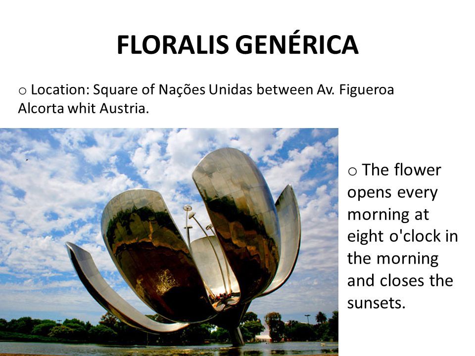 FLORALIS GENÉRICA o The flower opens every morning at eight o clock in the morning and closes the sunsets.