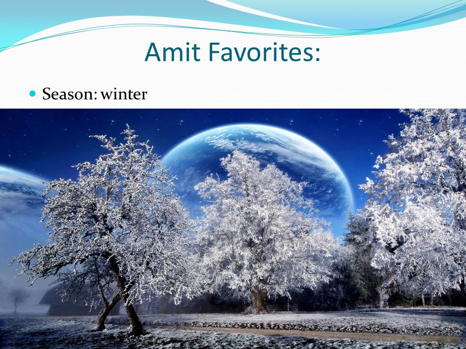 Amit Favorites: Season: winter