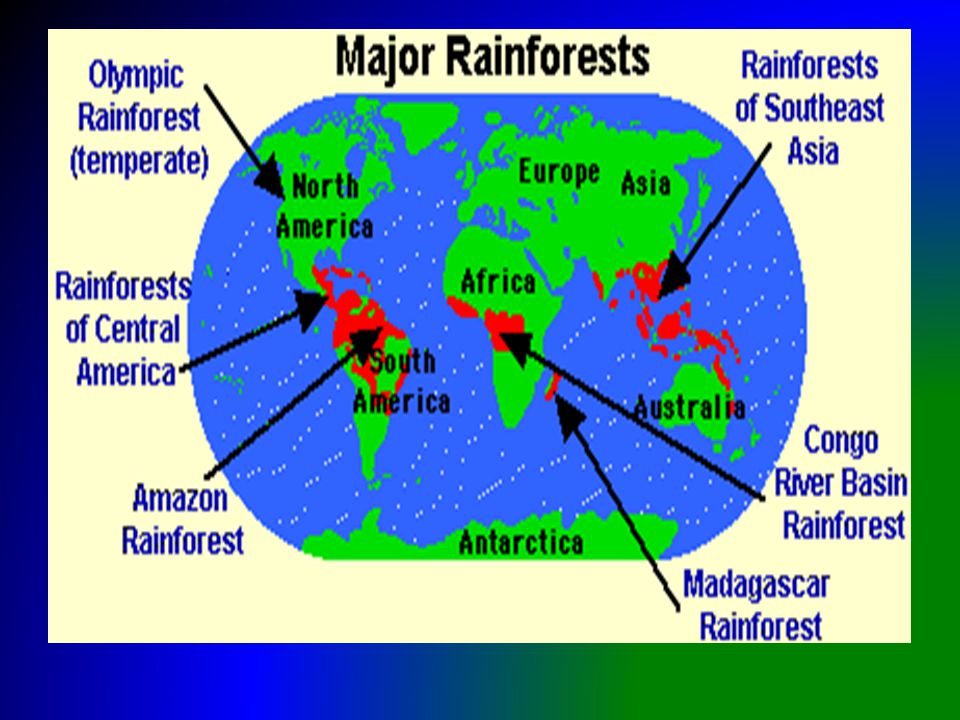 how many rainforests are there in the world