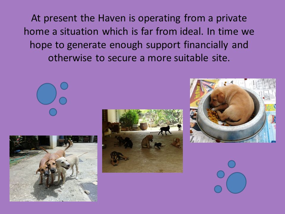 At present the Haven is operating from a private home a situation which is far from ideal.