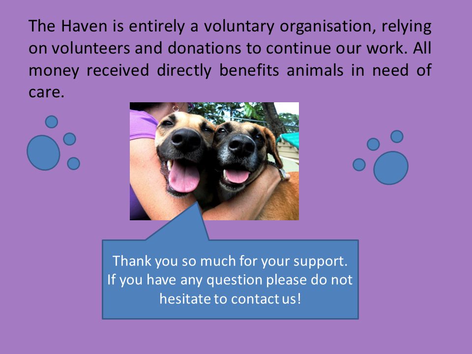 The Haven is entirely a voluntary organisation, relying on volunteers and donations to continue our work.