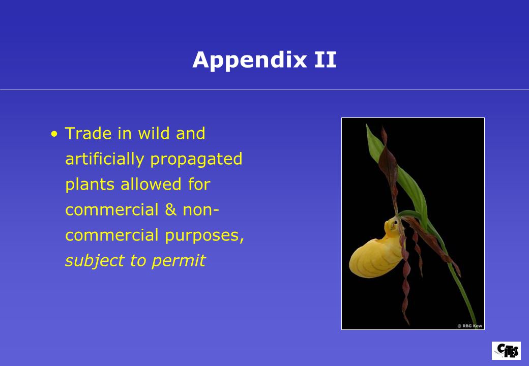 Trade in wild and artificially propagated plants allowed for commercial & non- commercial purposes, subject to permit Appendix II