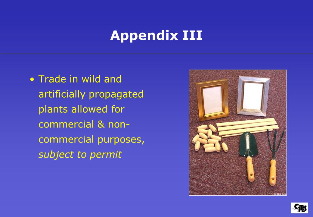 Trade in wild and artificially propagated plants allowed for commercial & non- commercial purposes, subject to permit Appendix III