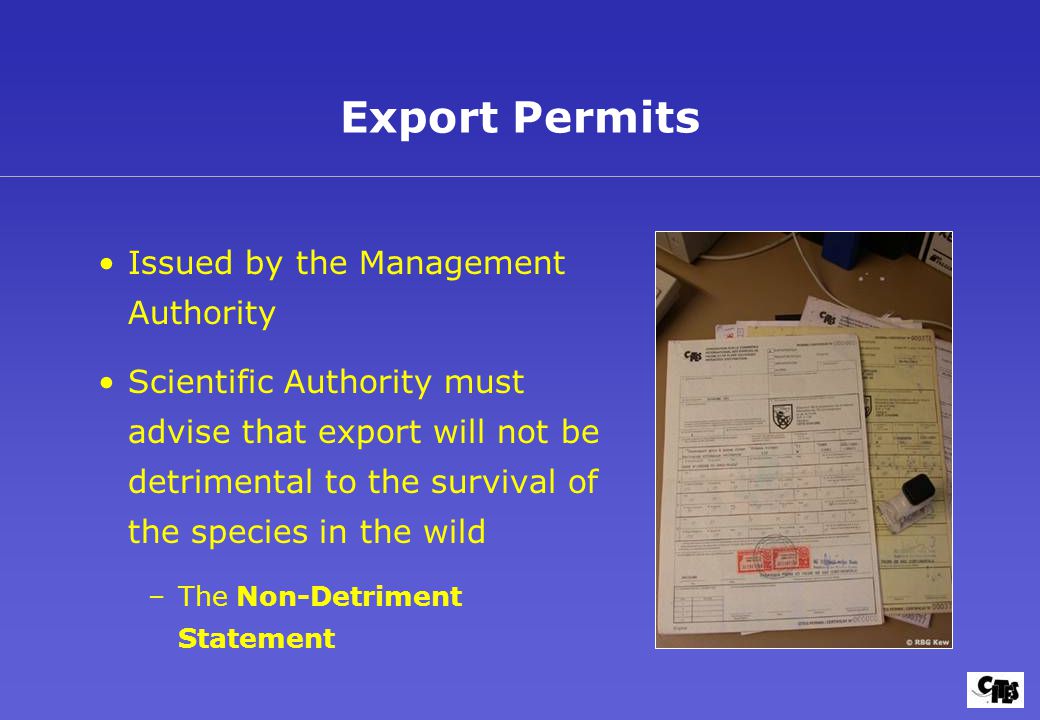 Issued by the Management Authority Scientific Authority must advise that export will not be detrimental to the survival of the species in the wild –The Non-Detriment Statement Export Permits