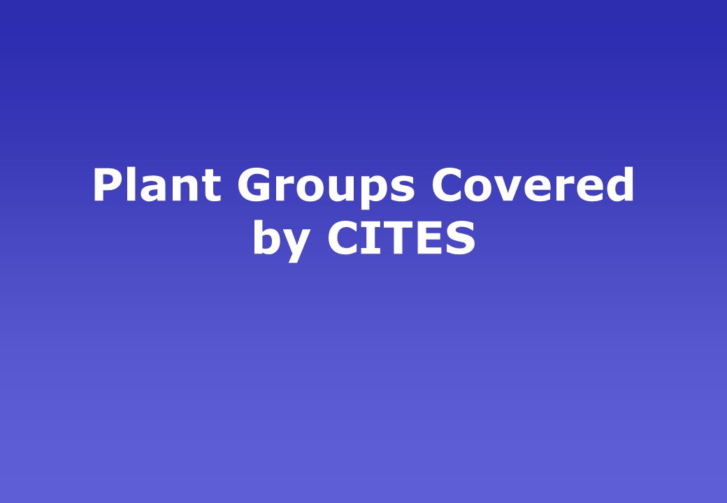 Plant Groups Covered by CITES