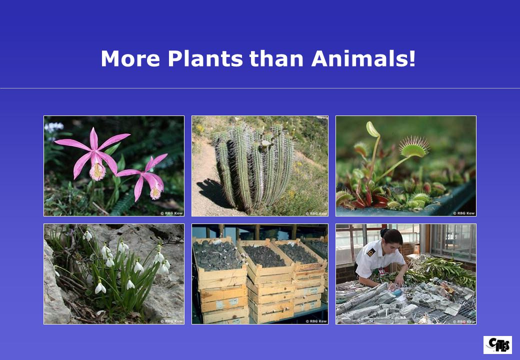 More Plants than Animals!