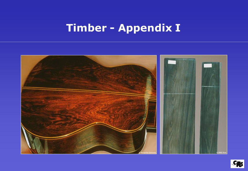 Timber - Appendix I