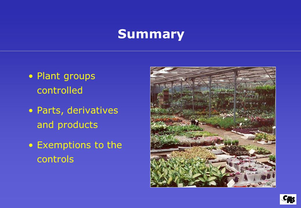 Plant groups controlled Parts, derivatives and products Exemptions to the controls Summary