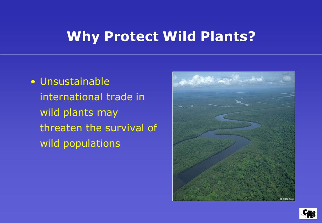Why Protect Wild Plants.