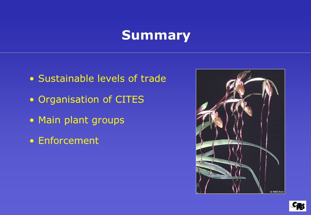 Sustainable levels of trade Organisation of CITES Main plant groups Enforcement Summary