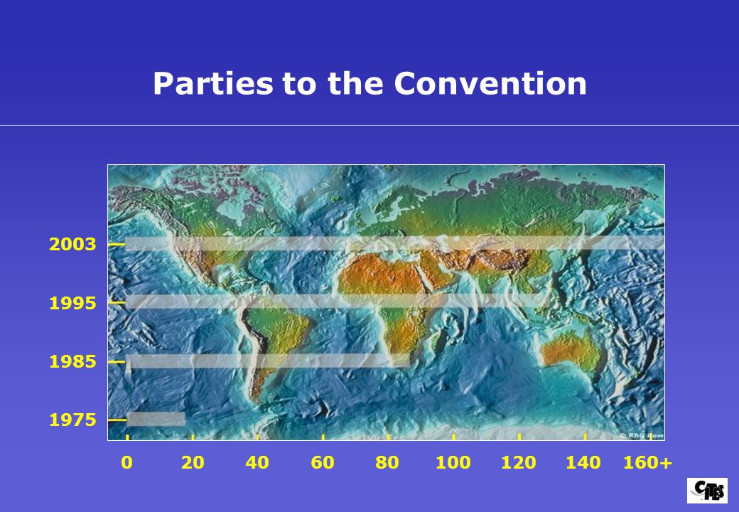 Parties to the Convention