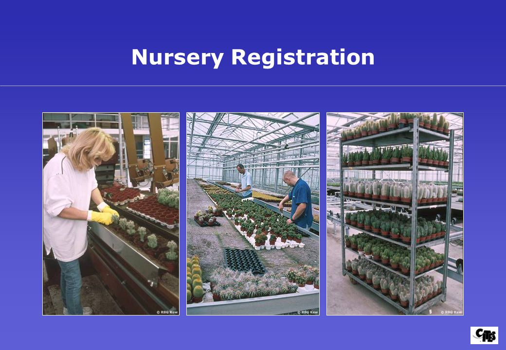 Nursery Registration