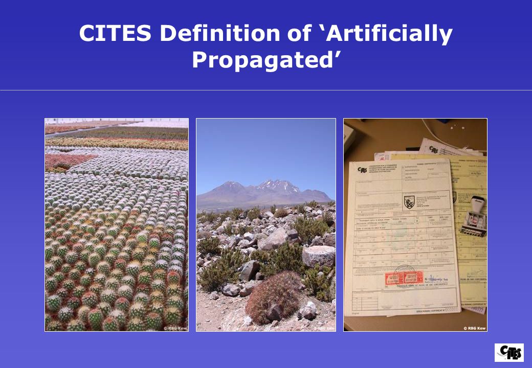 CITES Definition of ‘Artificially Propagated’