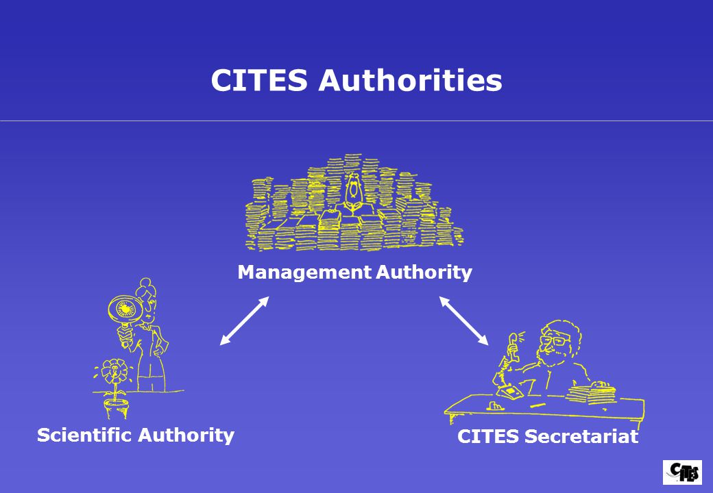 CITES Authorities Management Authority Scientific Authority CITES Secretariat
