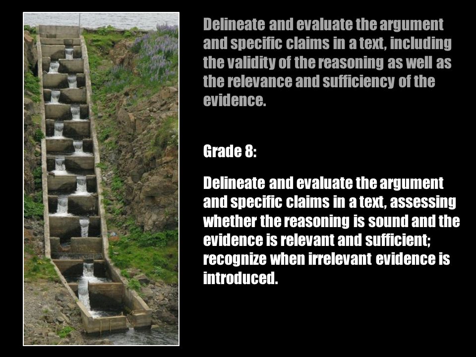 Delineate and evaluate the argument and specific claims in a text, assessing whether the reasoning is sound and the evidence is relevant and sufficient; recognize when irrelevant evidence is introduced.