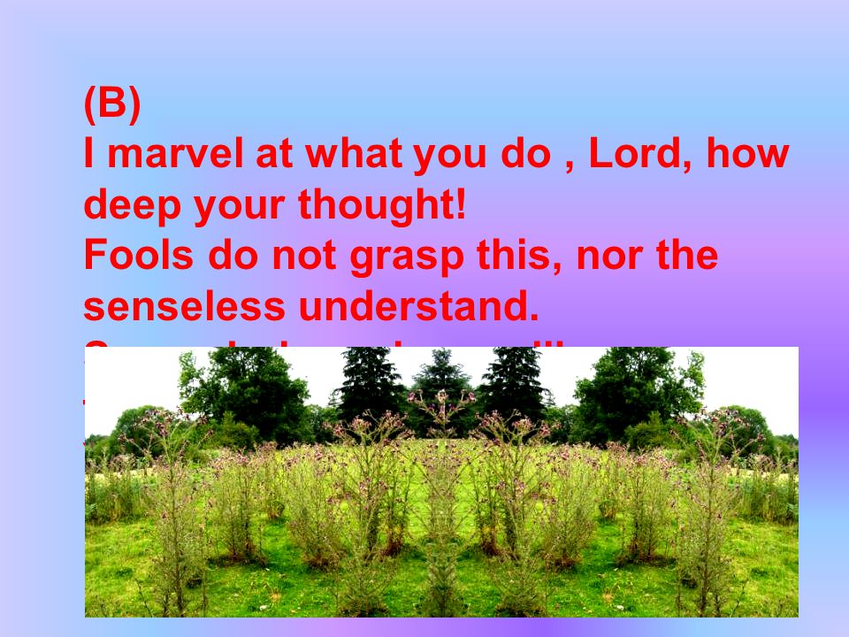 (B) I marvel at what you do, Lord, how deep your thought.