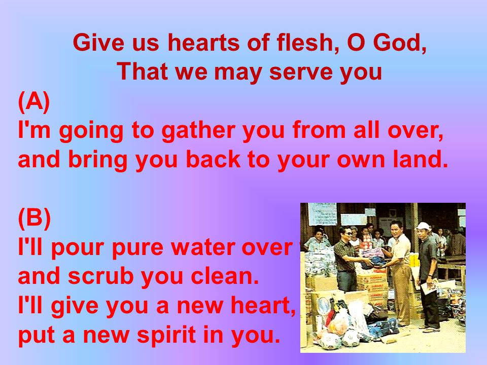 Give us hearts of flesh, O God, That we may serve you (A) I m going to gather you from all over, and bring you back to your own land.
