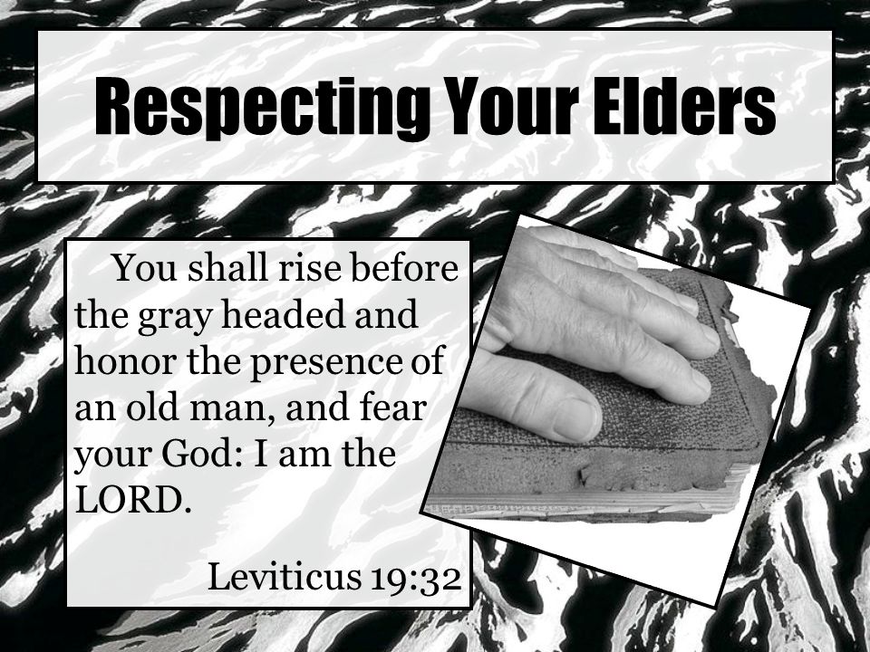 Respecting Your Elders You shall rise before the gray headed and honor the presence of an old man, and fear your God: I am the LORD.