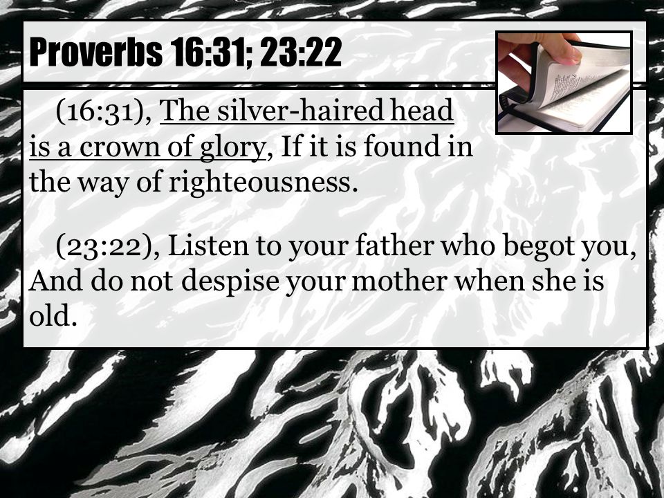 (16:31), The silver-haired head is a crown of glory, If it is found in the way of righteousness.