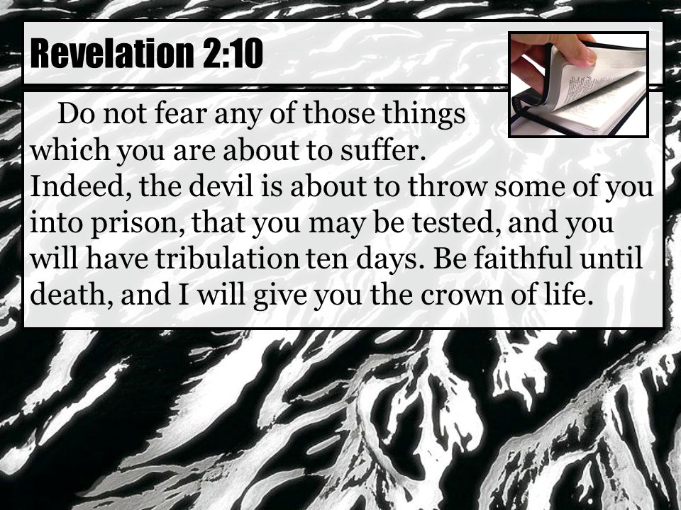 Do not fear any of those things which you are about to suffer.