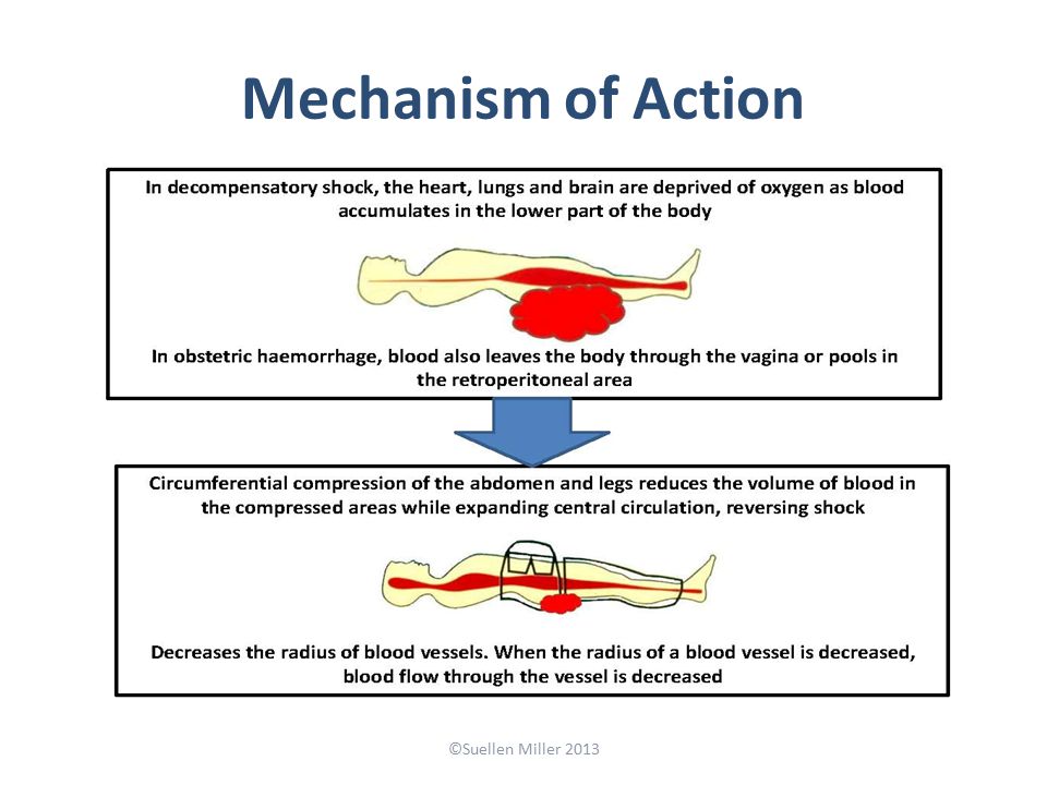 Mechanism of Action ©Suellen Miller 2013