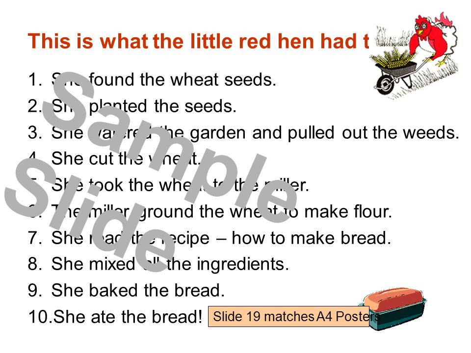 This is what the little red hen had to do … 1.She found the wheat seeds.