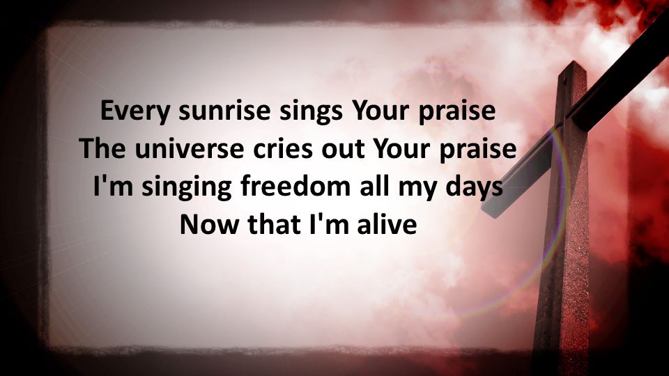 Every sunrise sings Your praise The universe cries out Your praise I m singing freedom all my days Now that I m alive