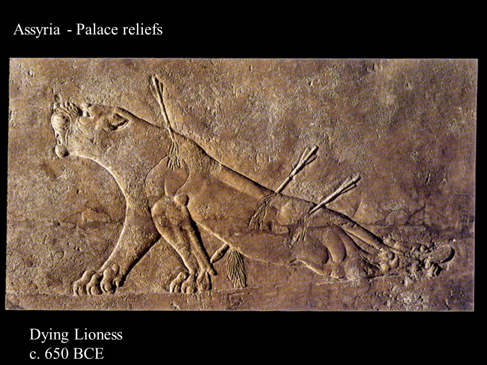 dying lioness assyrian art