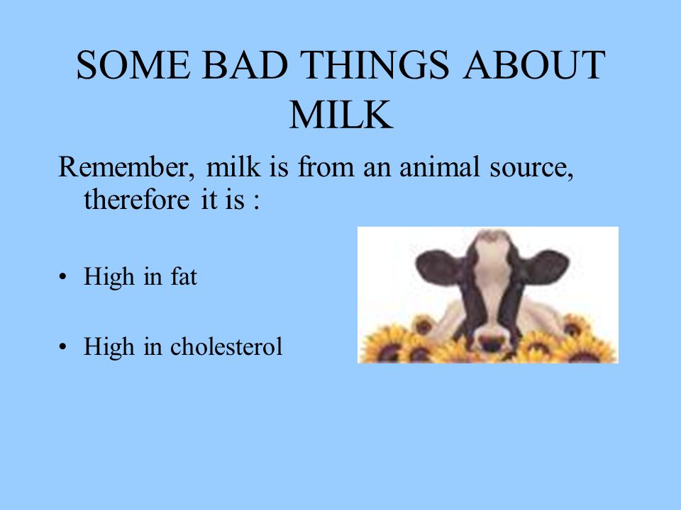 SOME BAD THINGS ABOUT MILK Remember, milk is from an animal source, therefore it is : High in fat High in cholesterol