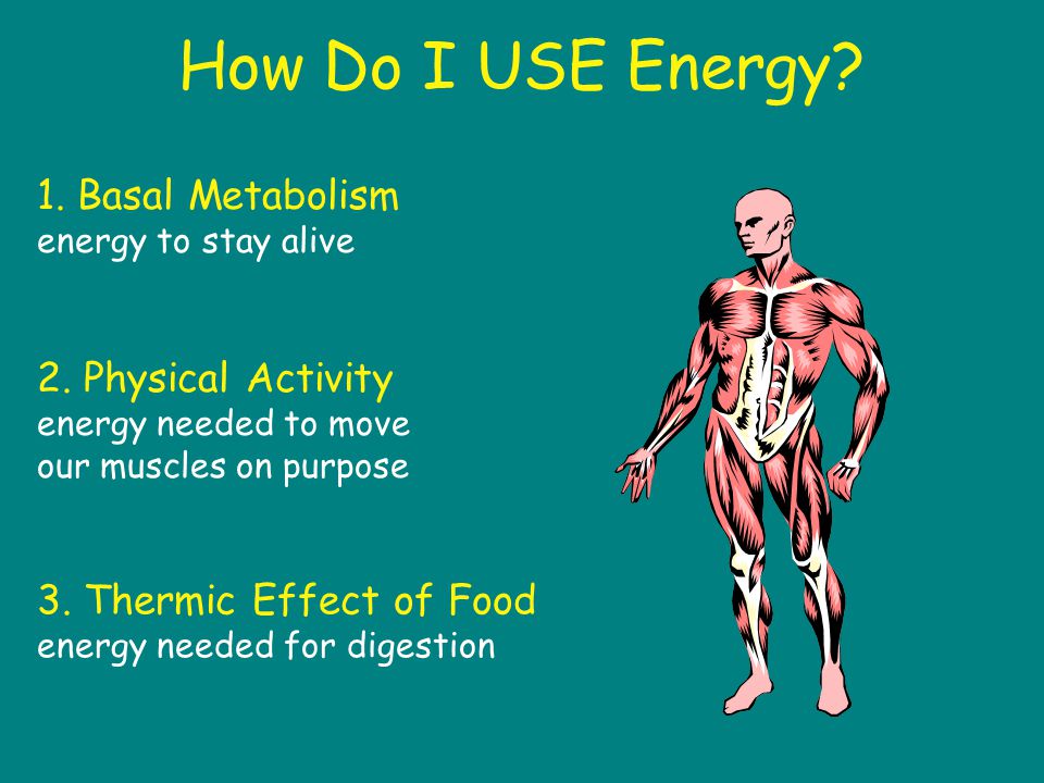 what is the role of energy in the body